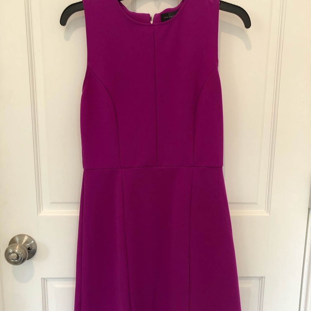 The Limited Dress